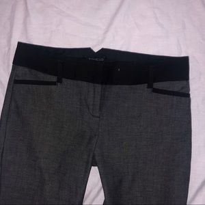 Express dress pants